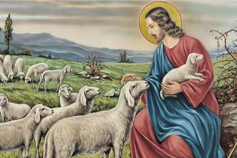Niedziela Dobrego Pasterza , 21.04.2024 r. - ogłoszenia parafialne