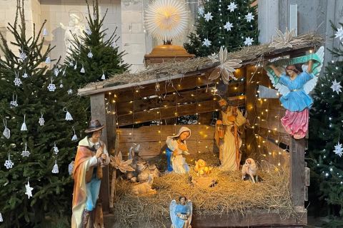 Niedziela w Oktawie Narodzenia Pańskiego - Święto Świętej Rodziny: Jezusa, Maryi i Józefa -  28.12.2025 r.