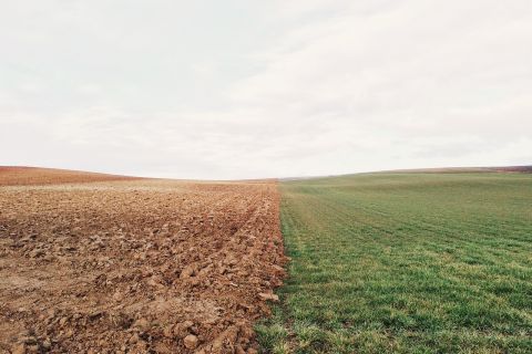 24 Niedziela Zwykła Rok A, 13.09.2026 r. - Ogłoszenia Parafialne